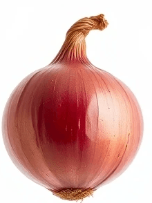 Onion