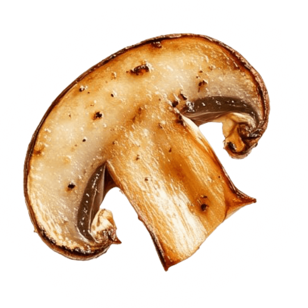 mushroom_4
