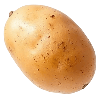 basil_3